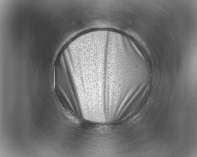 X0000068721175200605121444