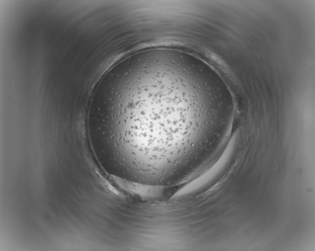 X0000068721177200605121444