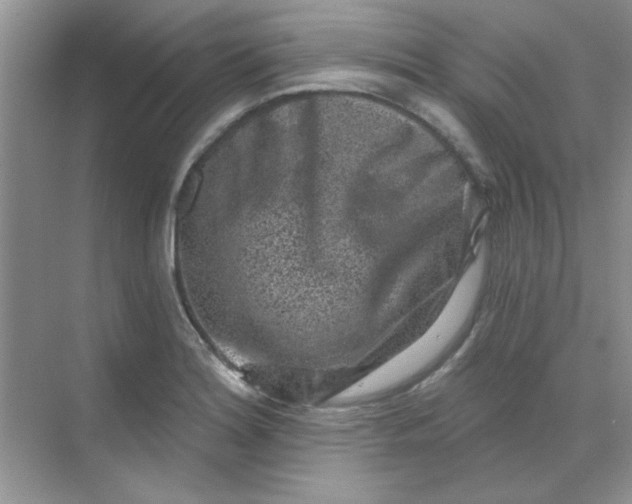 X0000068721180200605121444