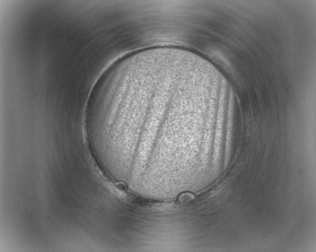 X0000068721182200605121444