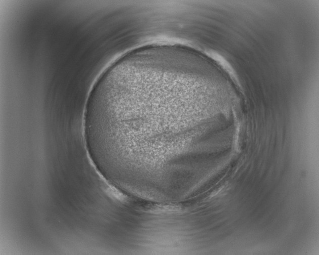 X0000068721183200605121444