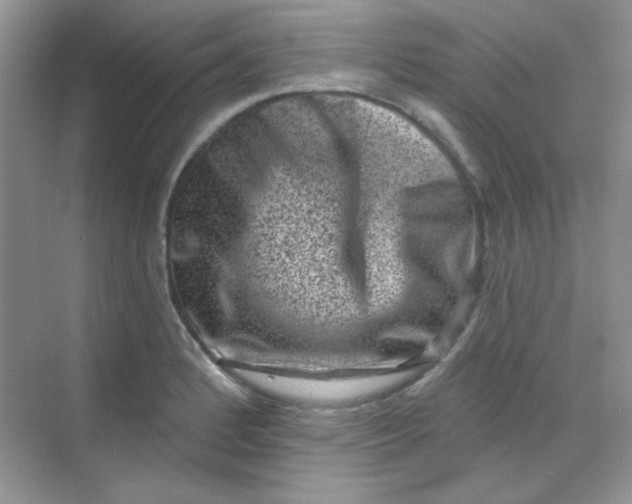 X0000068721184200605121444