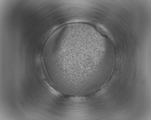 X0000068721185200605121444