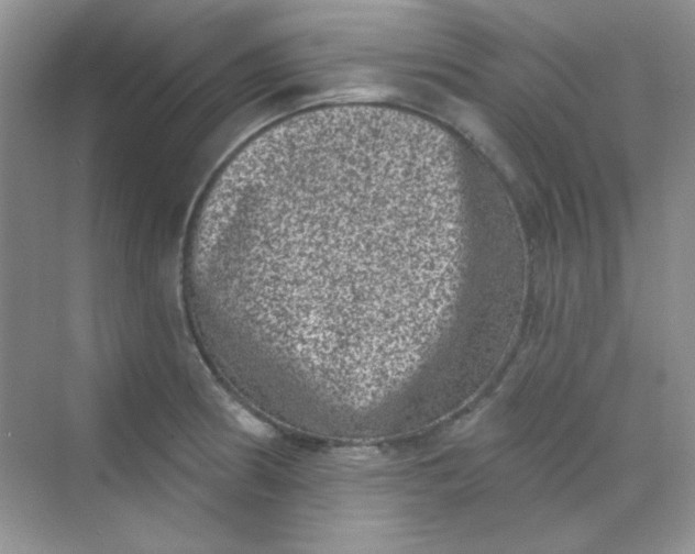 X0000068721186200605121444