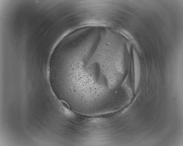 X0000068721188200605121444