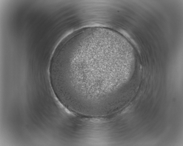 X0000068721189200605121444