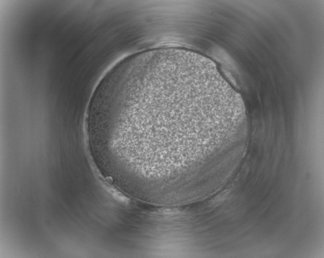 X0000068721190200605121444