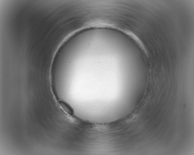 X0000068721191200605121444