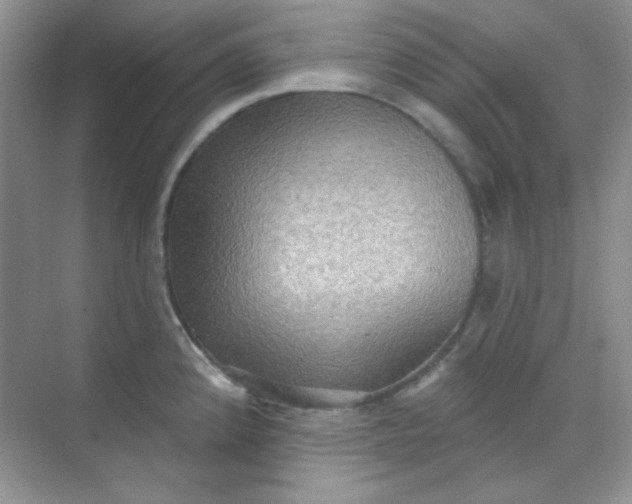 X0000068721192200605121444