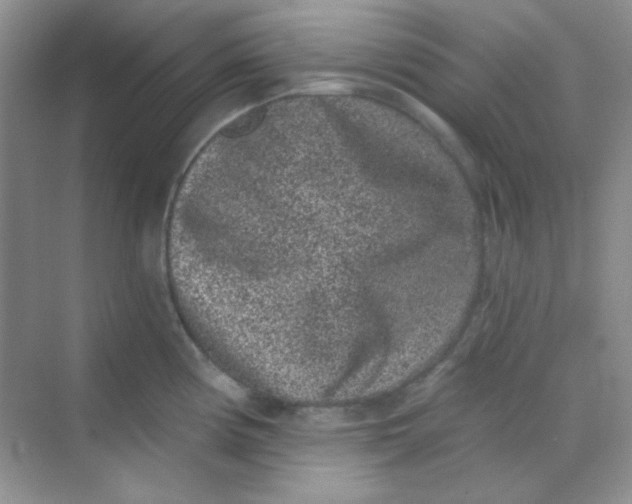 X0000068721194200605121444