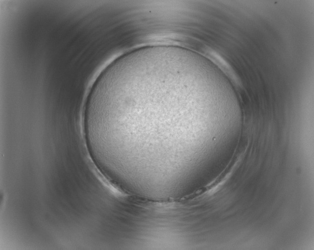 X0000068721196200605121444