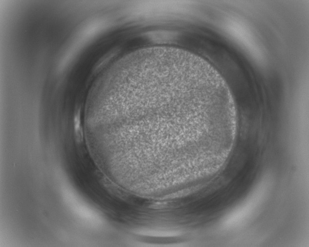 X0000068721198200605121444