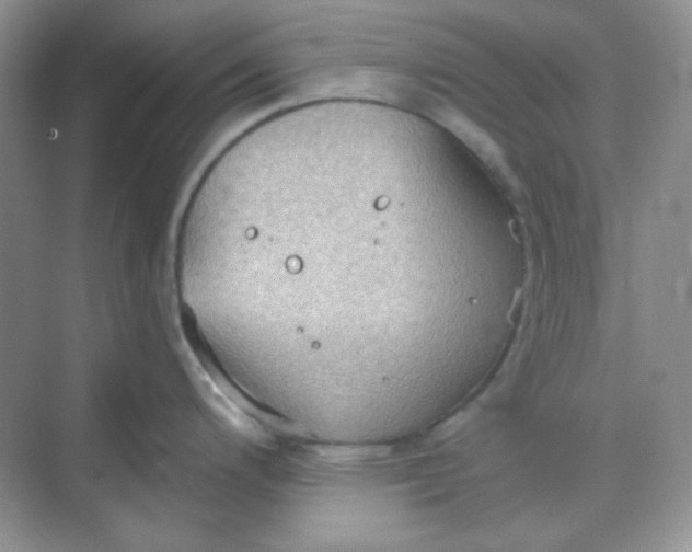 X0000068721200200605121444