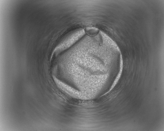 X0000068721201200605121443