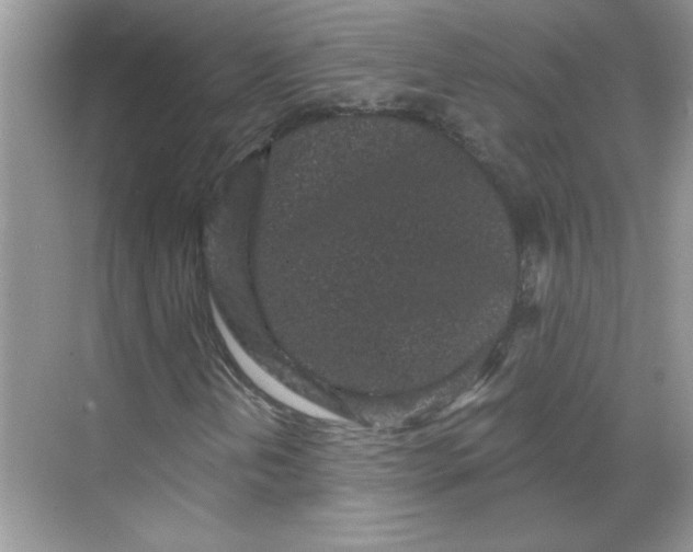 X0000068721202200605121443