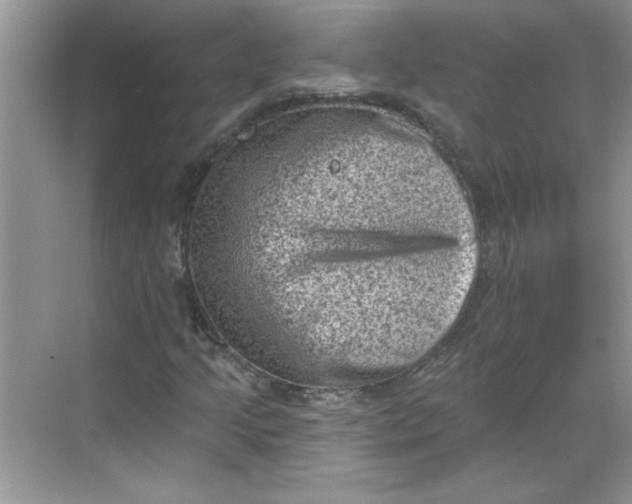 X0000068721205200605121443