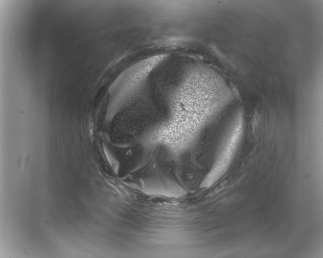 X0000068721206200605121443