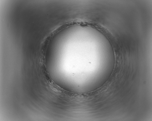 X0000068721207200605121443