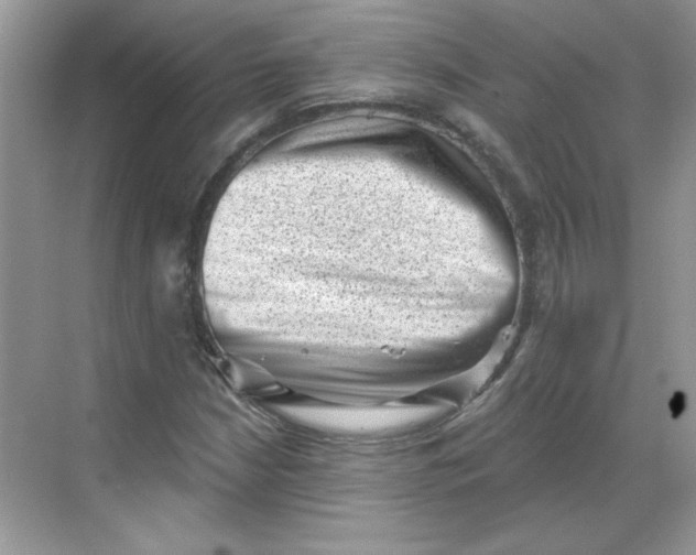 X0000068721210200605121443