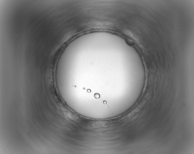 X0000068721211200605121443