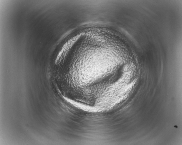 X0000068721213200605121443