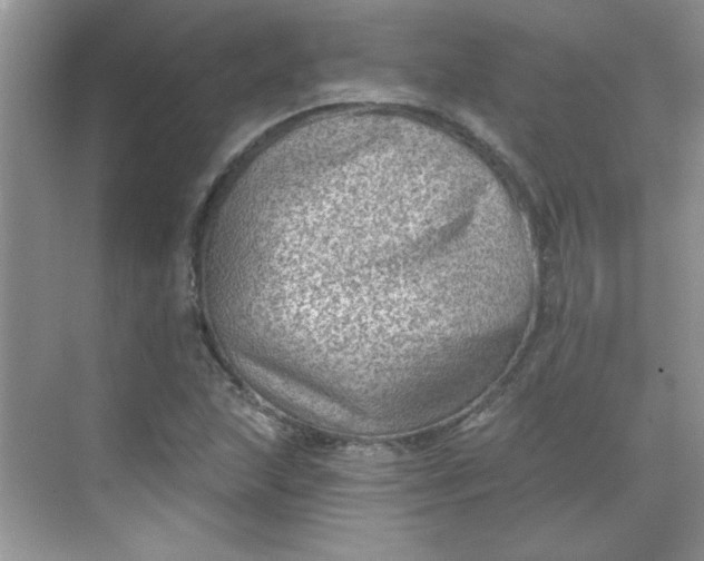 X0000068721215200605121443