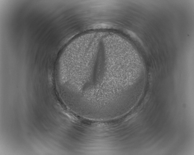 X0000068721217200605121443