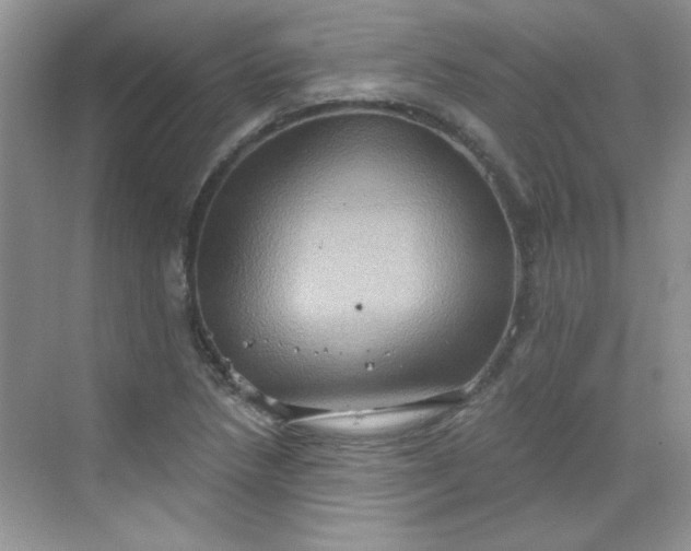 X0000068721218200605121443