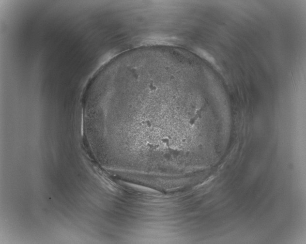 X0000068721219200605121443