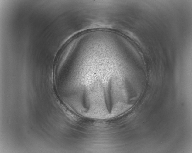 X0000068721220200605121443