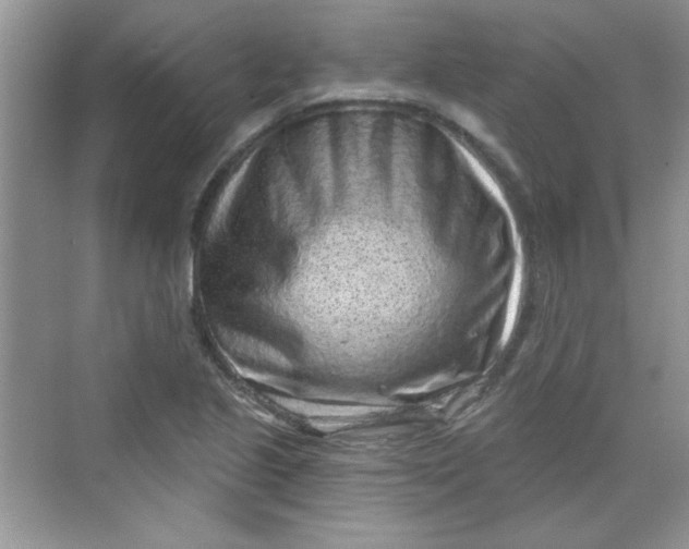 X0000068721221200605121443