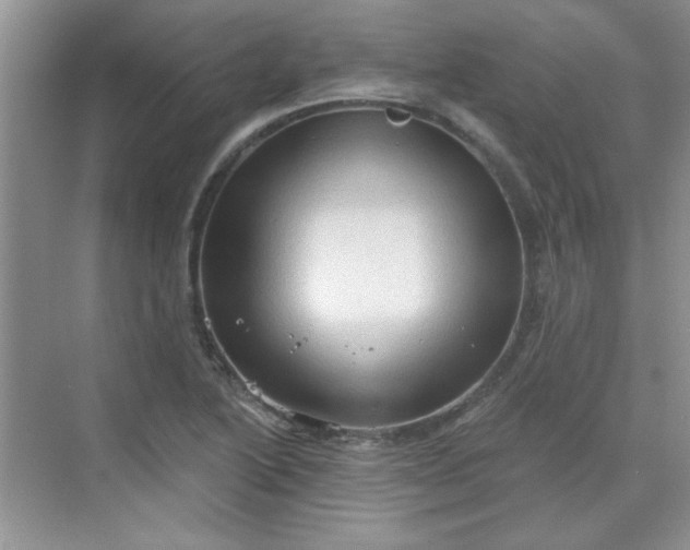 X0000068721222200605121443