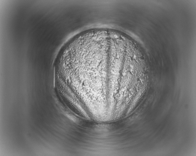 X0000068721223200605121443