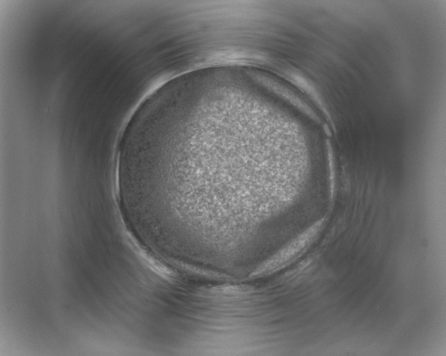 X0000068721227200605121443