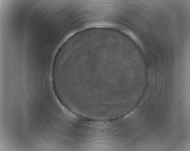 X0000068721229200605121443