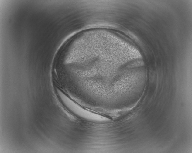 X0000068721230200605121444