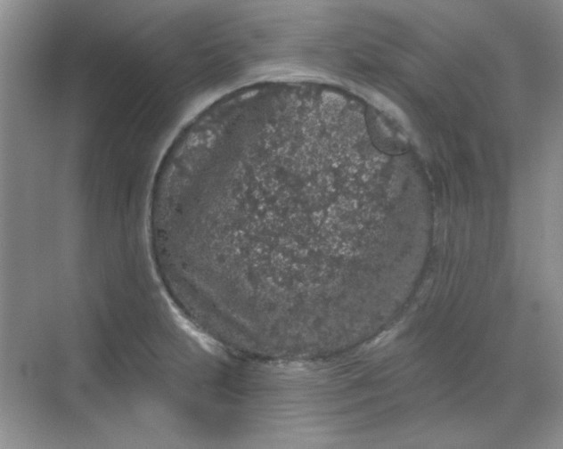 X0000068721231200605121444