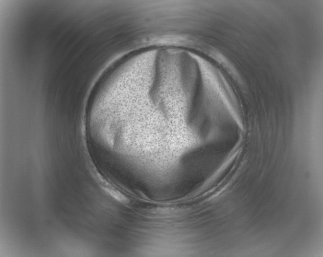 X0000068721232200605121444