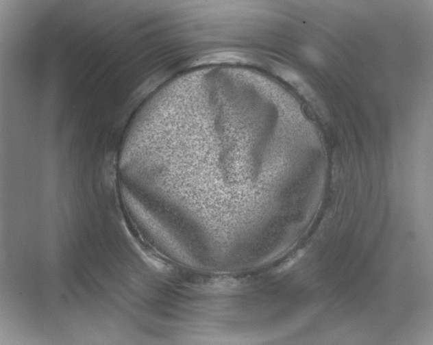 X0000068721233200605121444