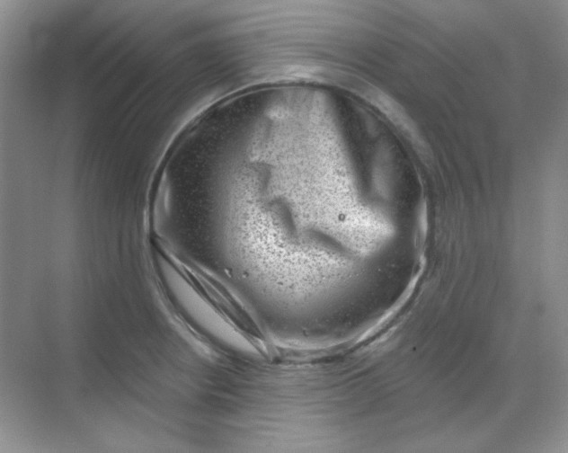 X0000068721234200605121444