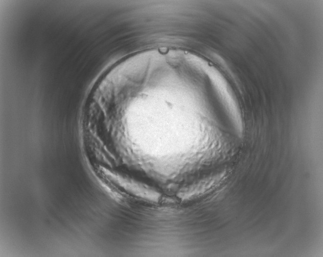 X0000068721235200605121444