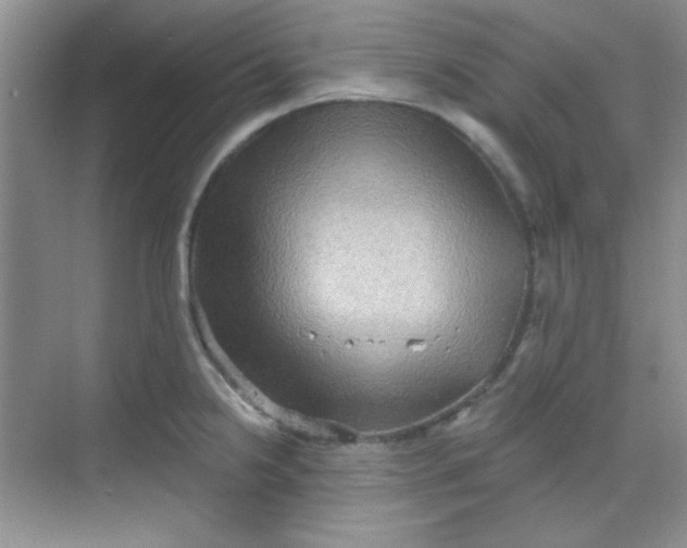 X0000068721238200605121444