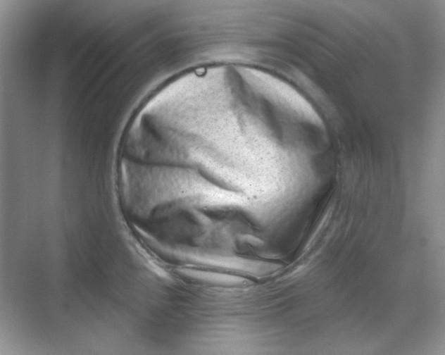 X0000068721240200605121444