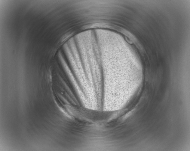 X0000068721241200605121444