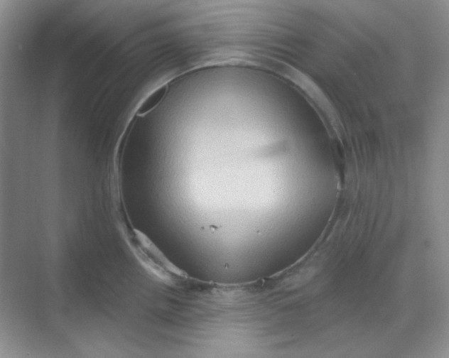 X0000068721242200605121444