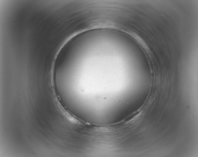 X0000068721246200605121444