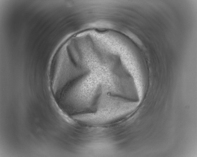 X0000068721248200605121444