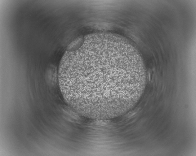 X0000068721251200605121443