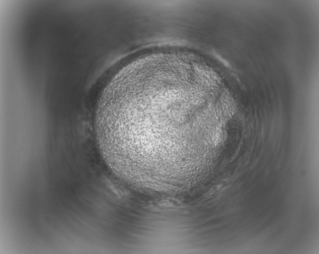 X0000068721255200605121443