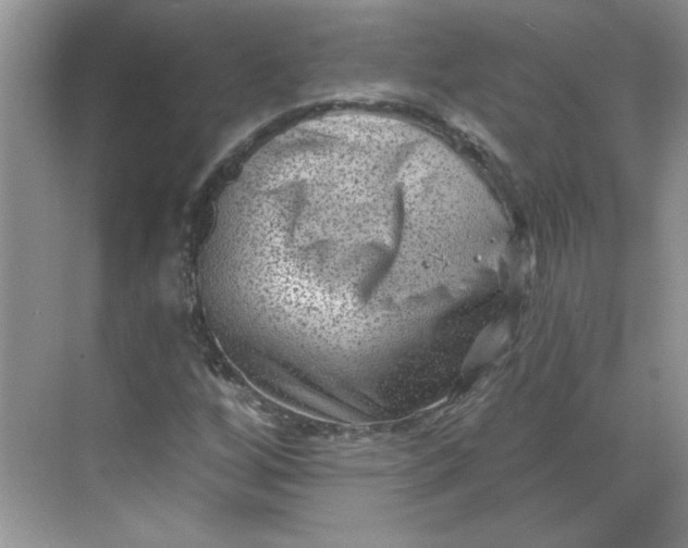 X0000068721256200605121443